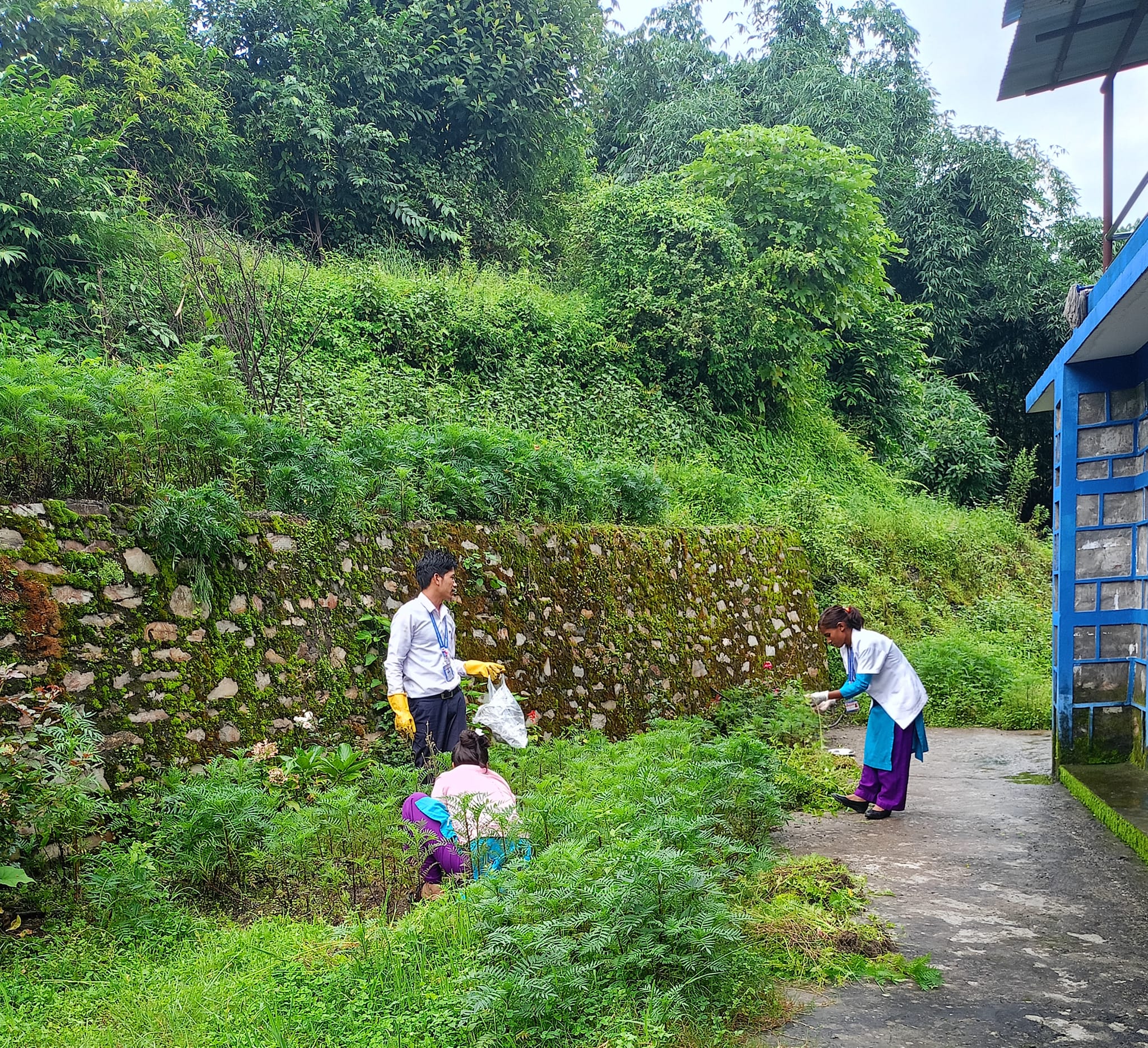 लामखुट्टे तथा सोको फुल खोज र नष्ट गर कार्यक्रम संचालन